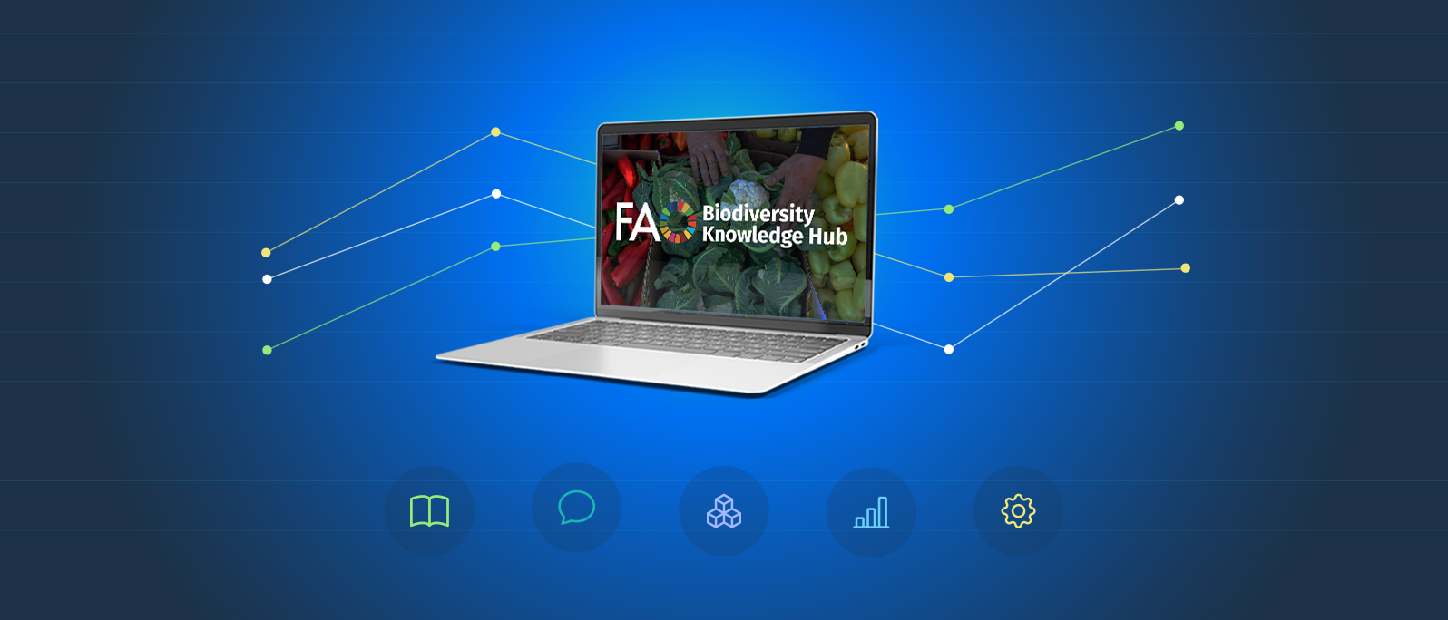 Knowledge hub banner