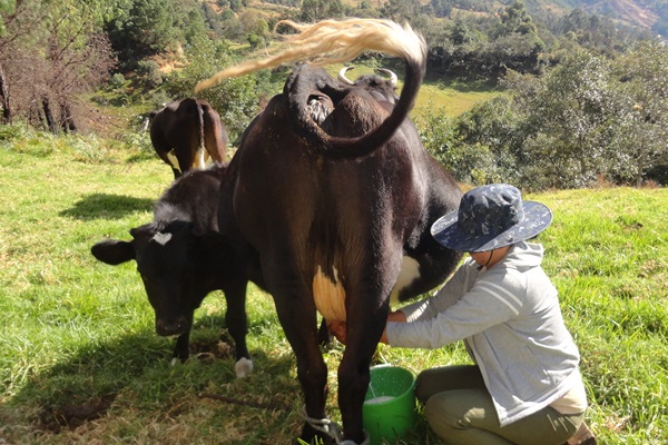 Ecuador