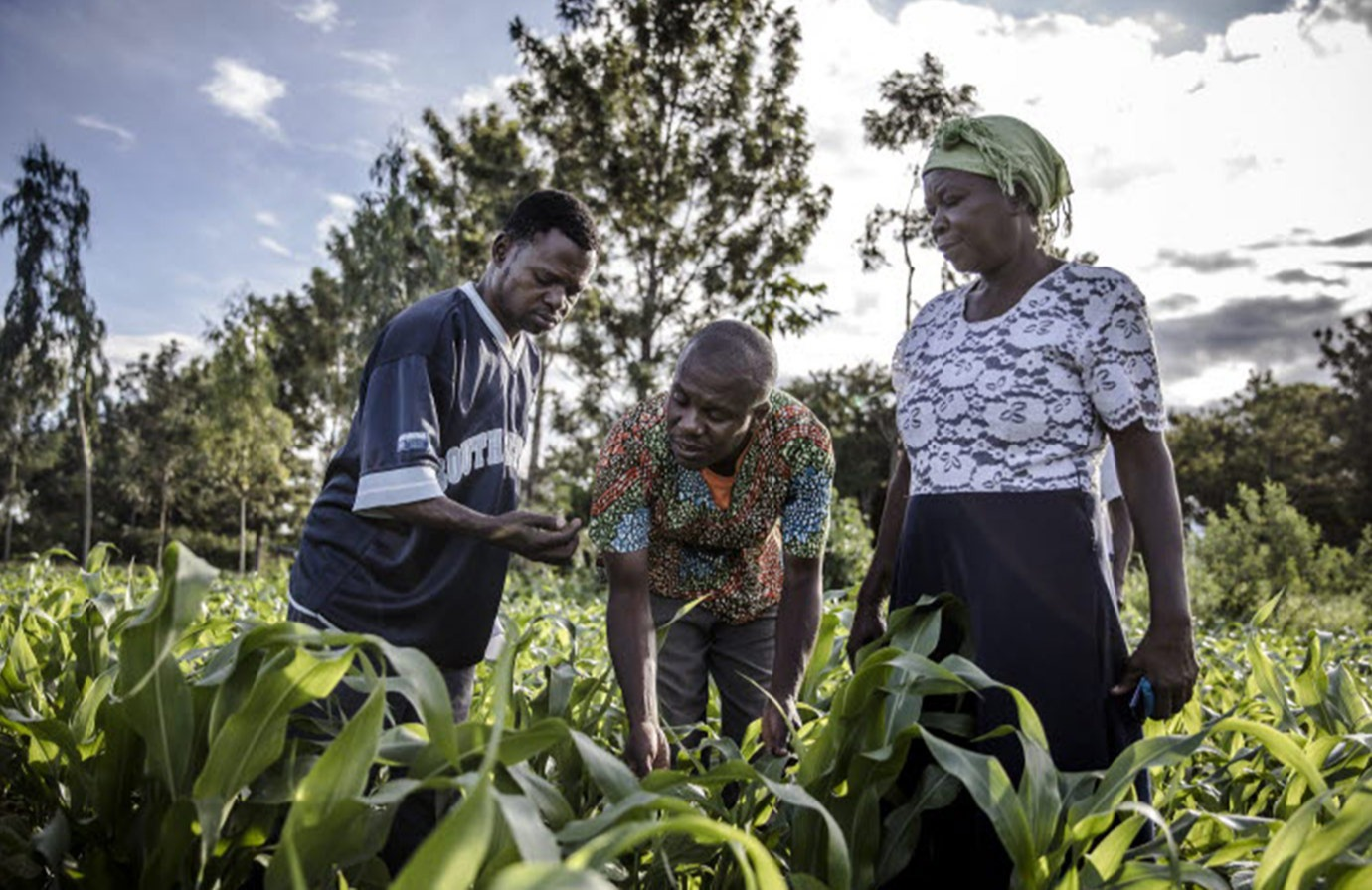 Introduction to the Farmer Field School Approach
