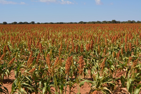 DSL Botswana