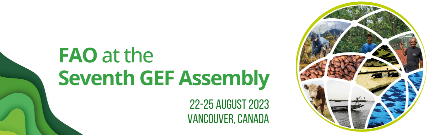 GEF Assembly cover GEF Assembly cover