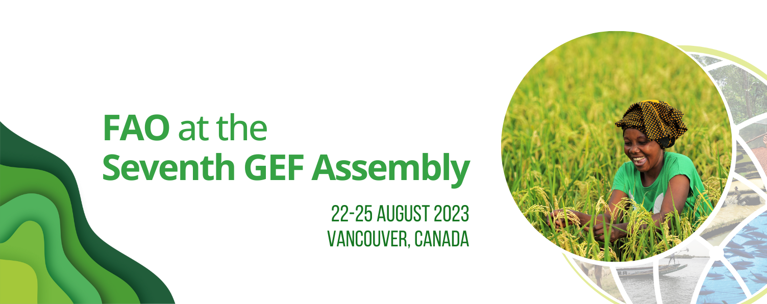 GEF Assembly Webpage Banner - FSIP Country Briefing GEF Assembly Webpage Banner - FSIP Country Briefing