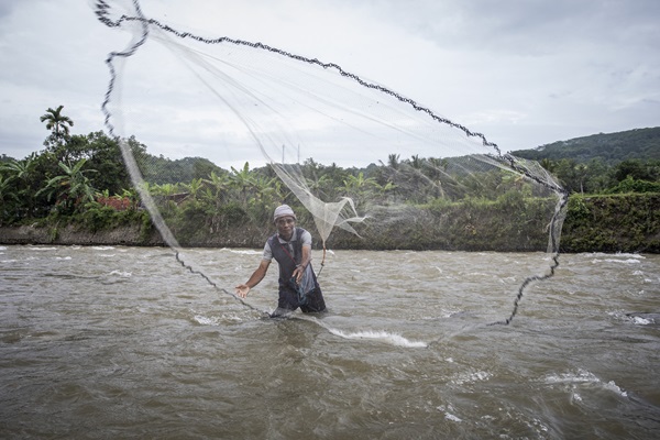 glass-eels-fishing-in-sukabumi