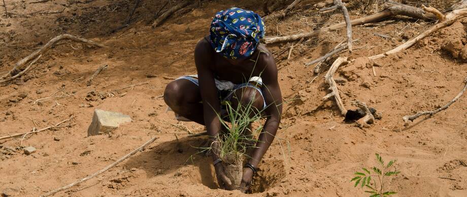 Traditional practices and farmer field schools for improved land management in Southwestern Angola