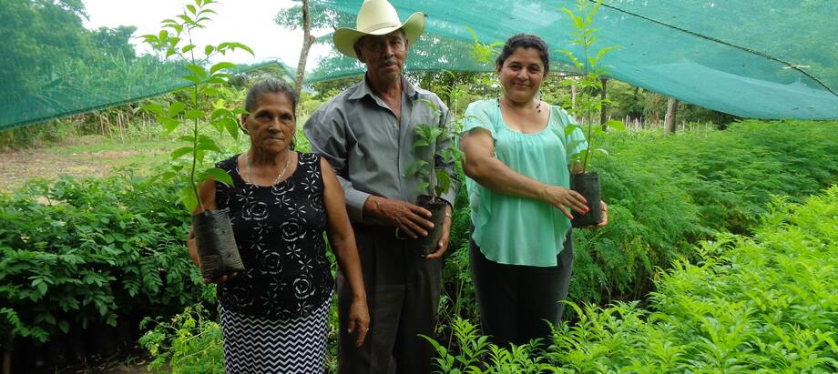 Climate change adaptation to reduce land degradation in fragile micro-watersheds in El Salvador