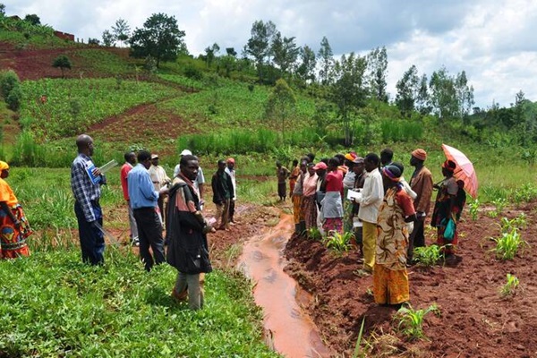 Kagera