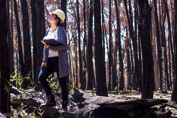 1_CBIT-Forest©FAOSalahuddin Ahmad