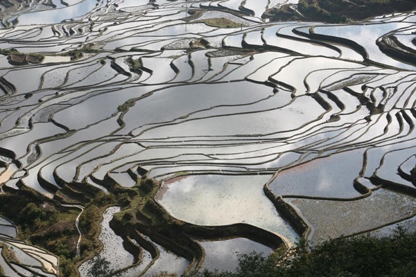 china---hani-rice-terraces_7649308092_o