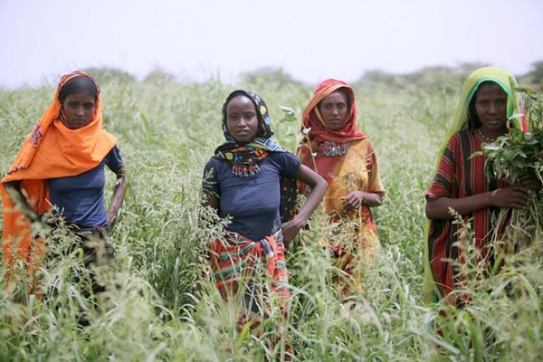 1_Global hunger continues to rise 2