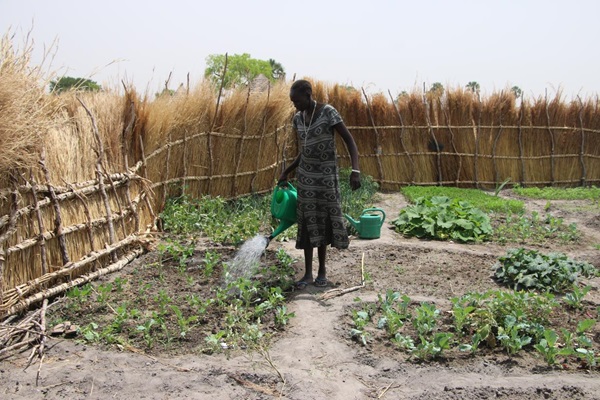 1_How FAO is helping 2