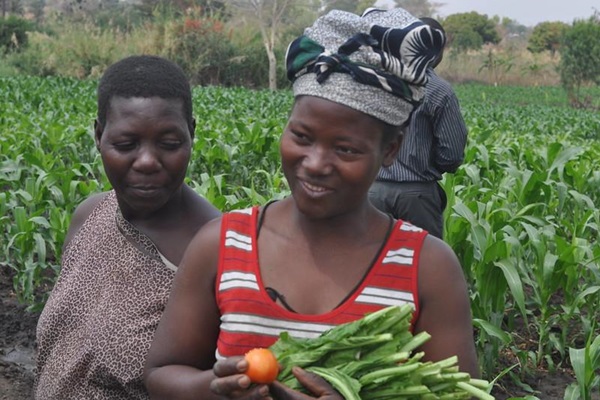 Countering climate change