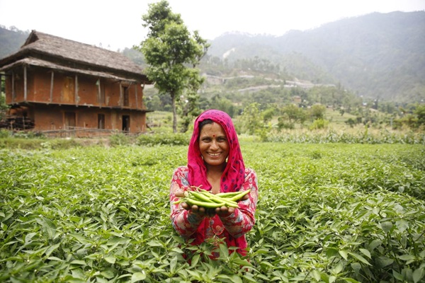 UN Women -Narendra Shrestha