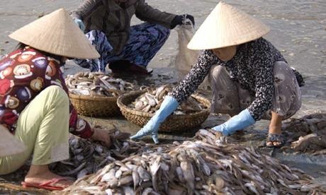 WomenAsiaFishWorkers