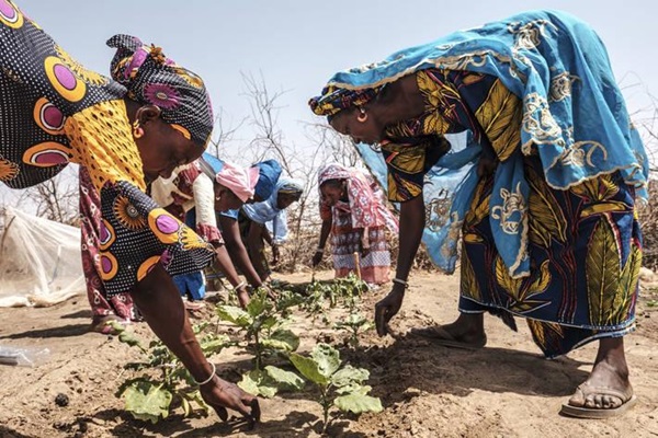 7_UN food agencies