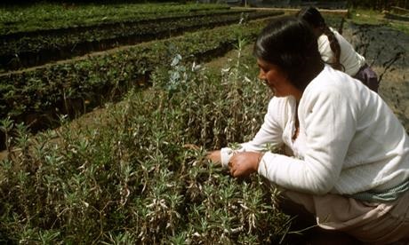 Bolivia-Cochabamba-01