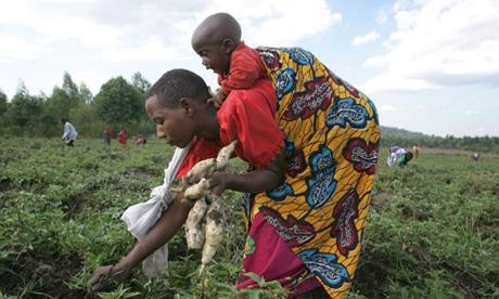 ChildrenPesticides
