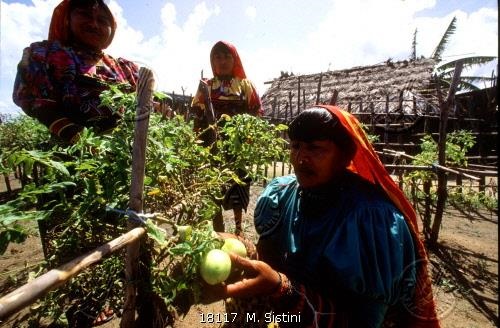 ndigenous women from Panama