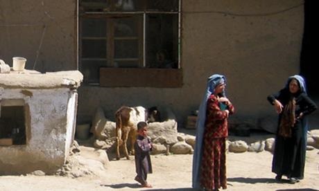 AfghanPoultry