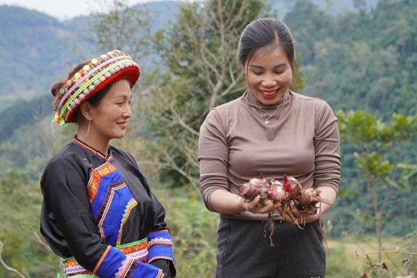 Bringing cultures