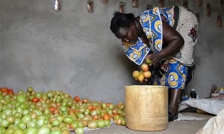 FAO-Eric-Kimani