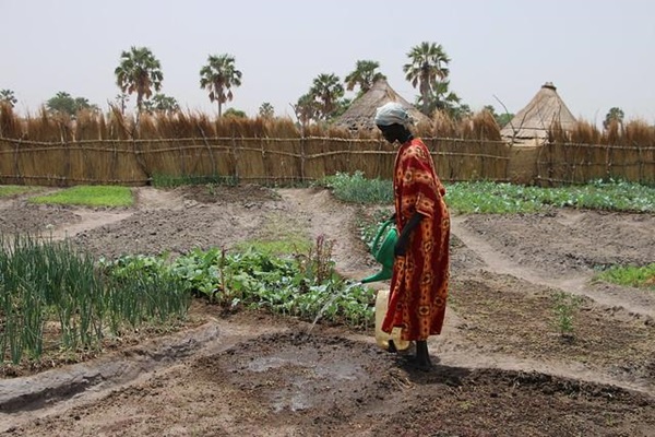 FAO Regional Conference