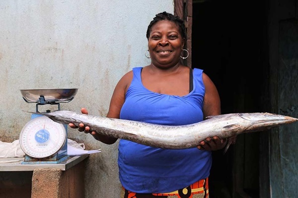 Gender value chains