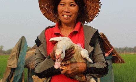 LaoPDR-01
