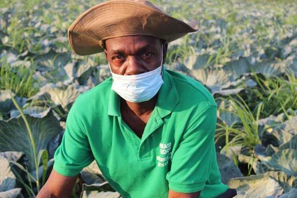 Mozambique farmers