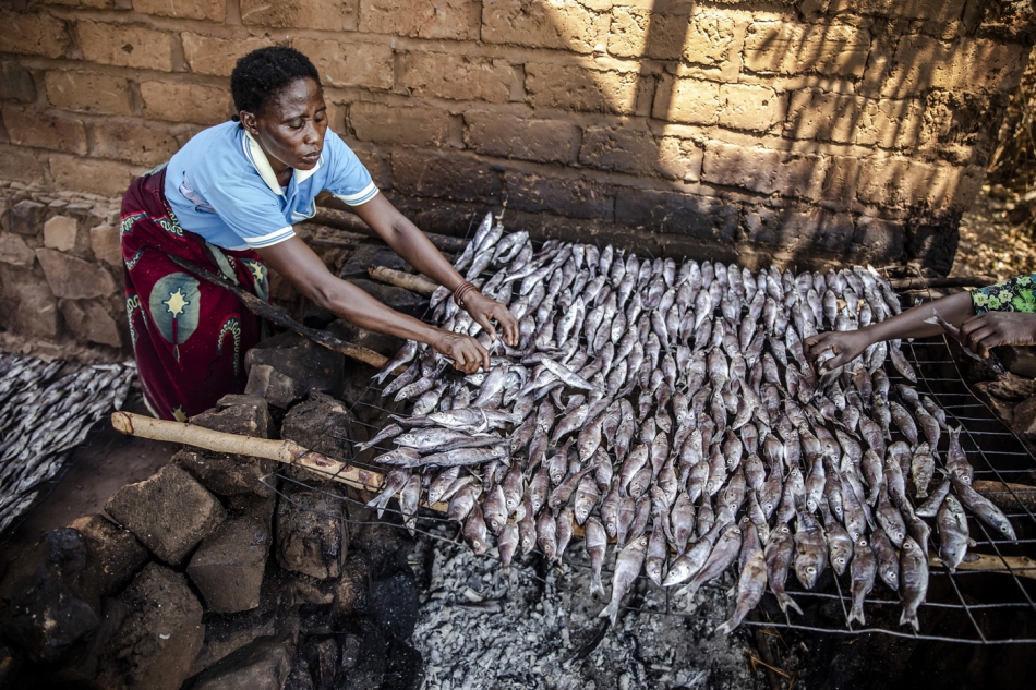 La reducción de las pérdidas de pescado cambia el trabajo y el futuro de las transformadoras de productos pesqueros de Tanzanía