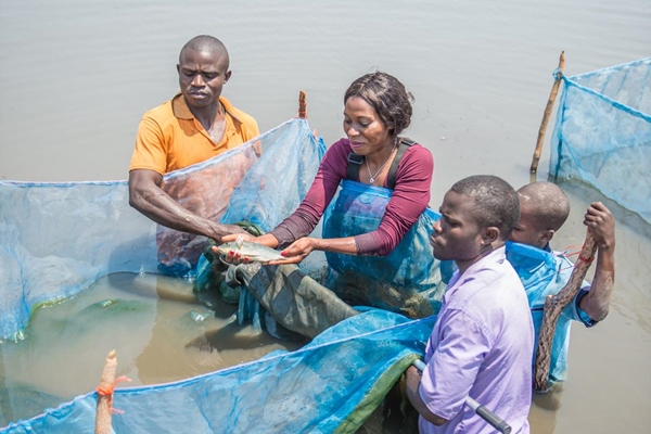 WorldFish_Zambia