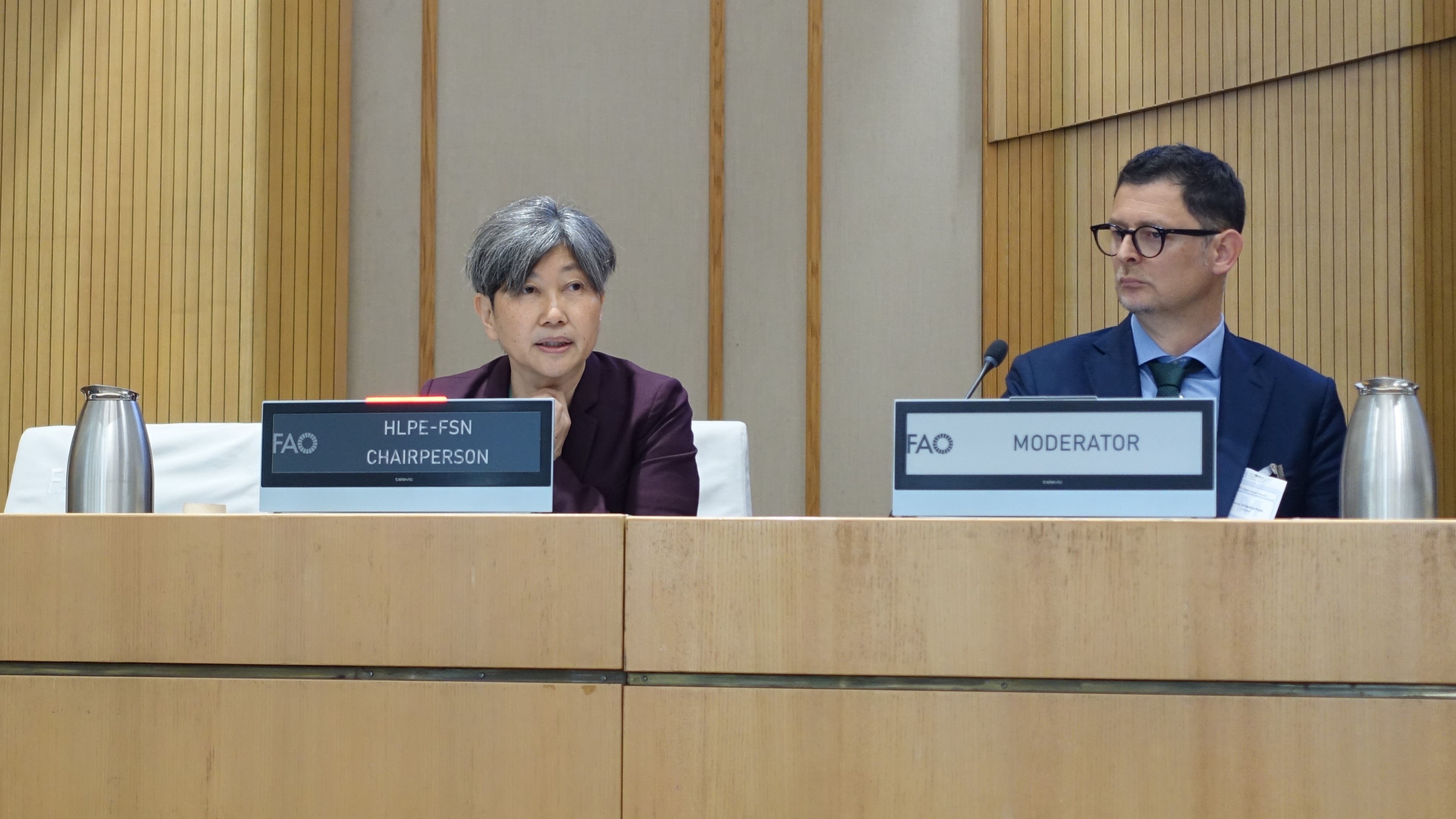 Akiko Suwa-Eisenmann, Chairperson of the HLPE-FSN, presenting the HLPE-FSN background note on Climate Change, Biodiversity Loss and Land Degradation through the Right to Food