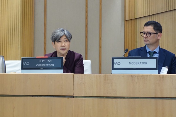 Akiko Suwa-Eisenmann, Chairperson of the HLPE-FSN, presenting the HLPE-FSN background note on Climate Change, Biodiversity Loss and Land Degradation through the Right to Food