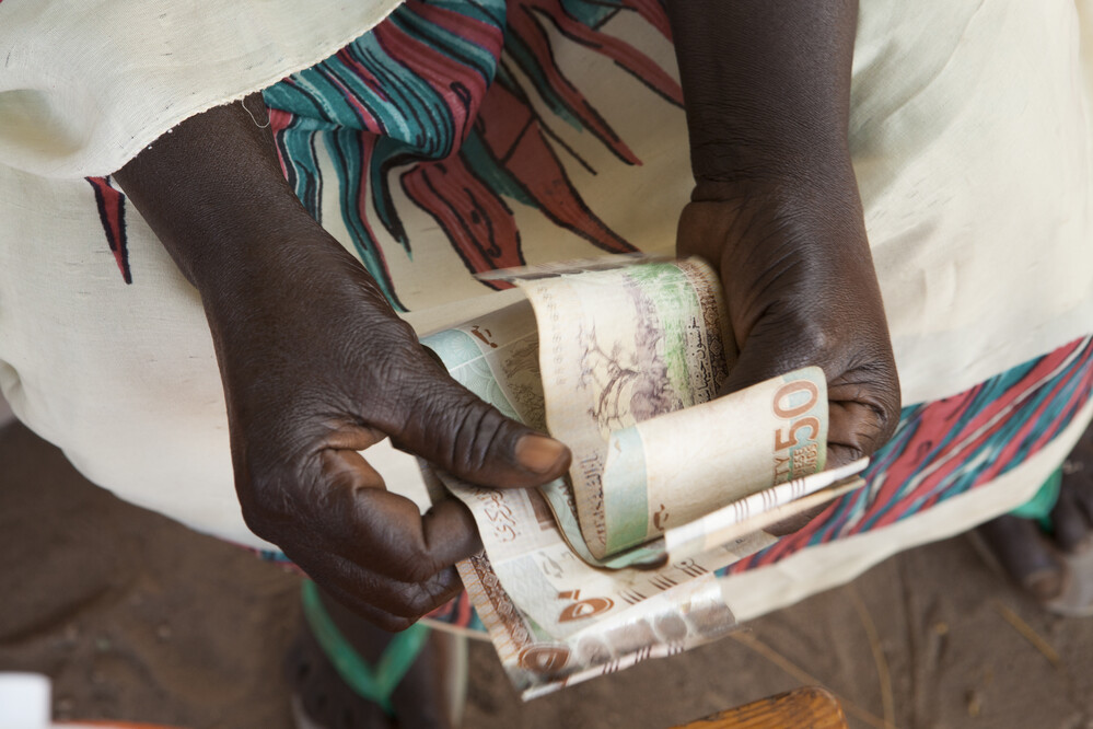 Strengthening responsible investments and financing for food security and nutrition