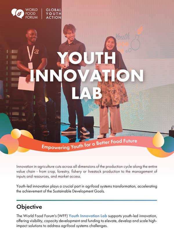 WFF Innovation Lab Programme Brochure