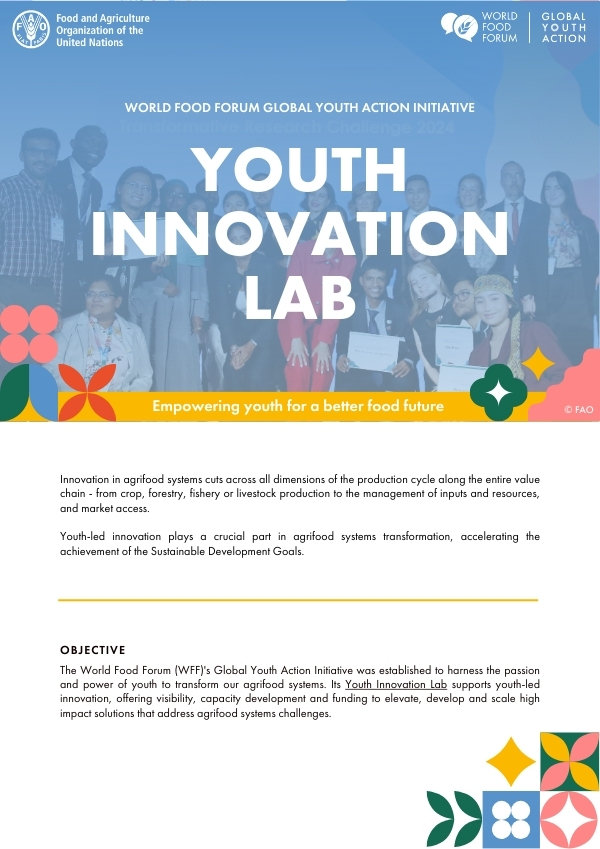 WFF Innovation Lab Programme Brochure