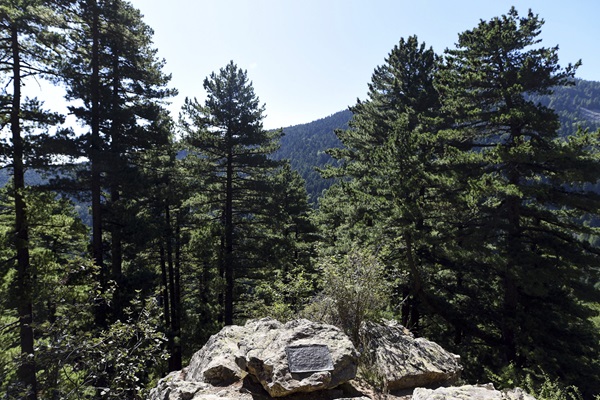 Mountain-pic-24896_0120