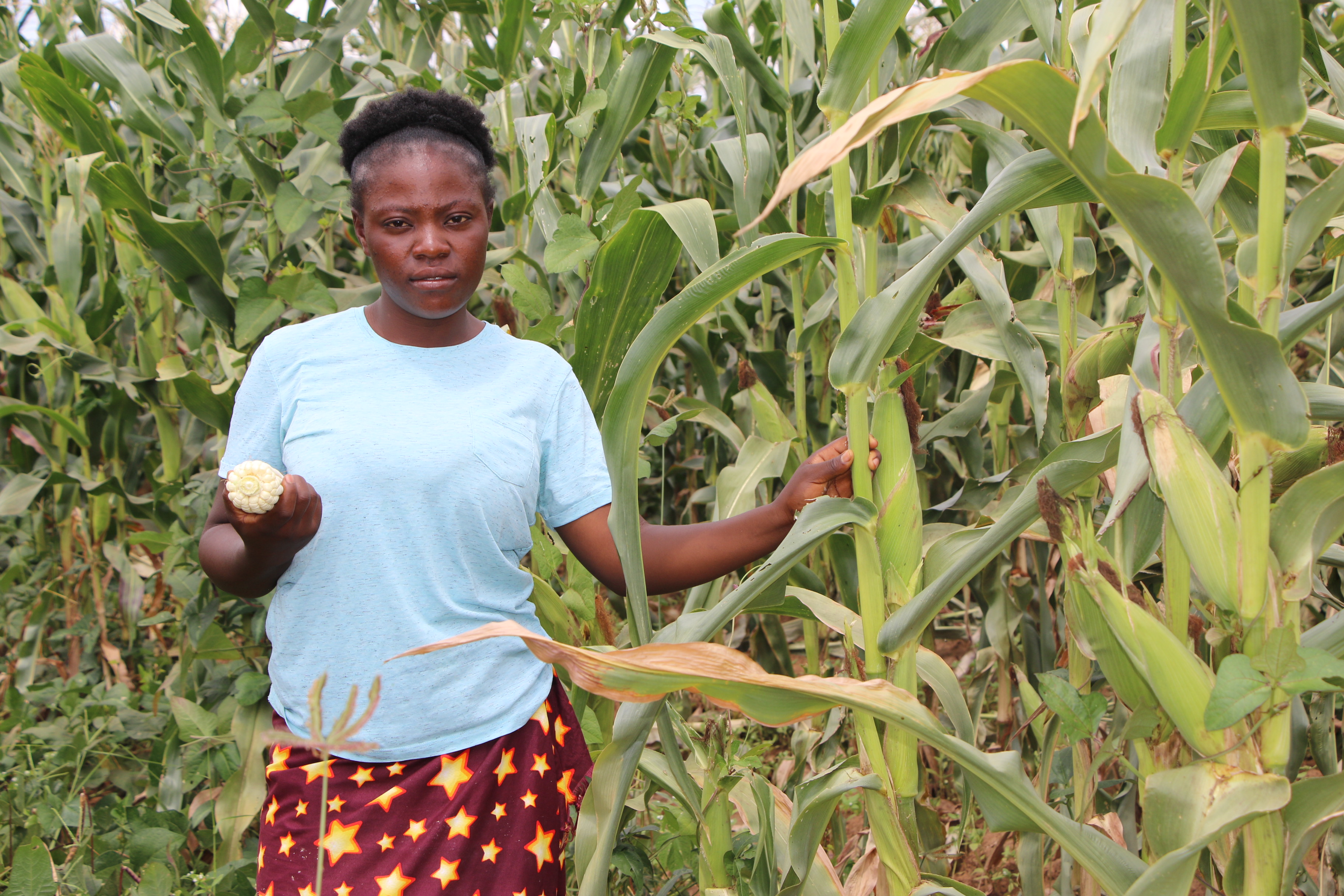 From Struggle to Strength: Young Farmer Misley Zwela Overcomes Drought with Seeds of Hope and a Dream to Return to School