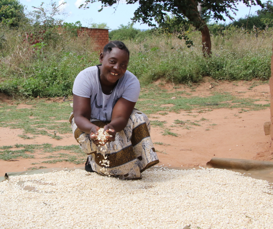 Climate-Smart Farming Transforms Livelihood of Fainess Chisi, a Zambian Farmer