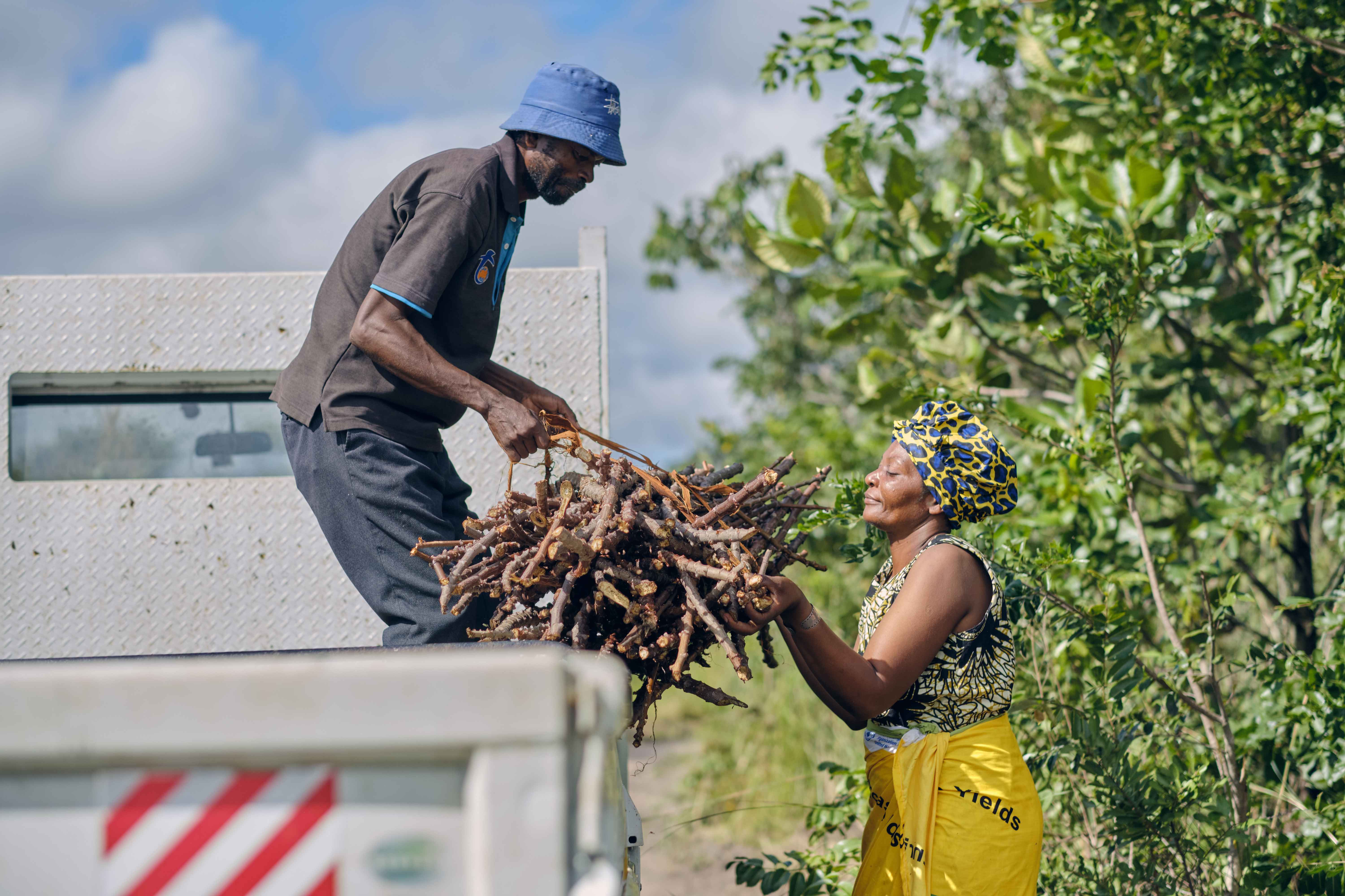 Cassava Production Transforming Female Farmer's Life