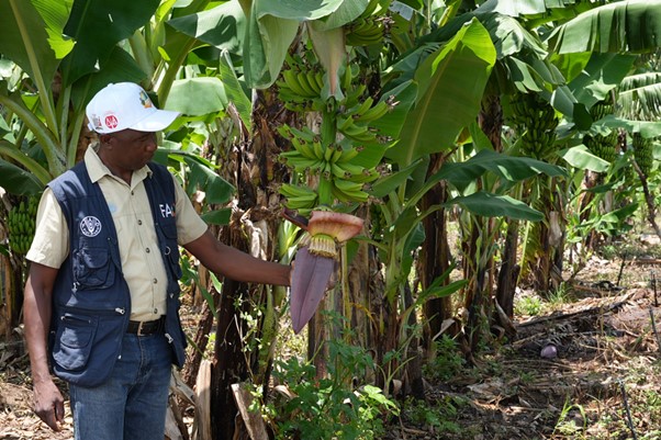Behavioural science promotes sustainable and resilient agricultural practices in Zambia