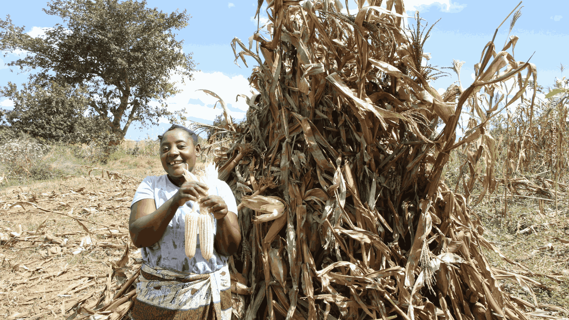 Climate-Smart Farming Transforms Livelihood of Fainess Chisi, a Zambian Farmer