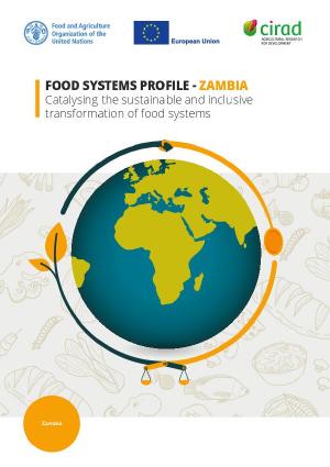 Food Systems Profile