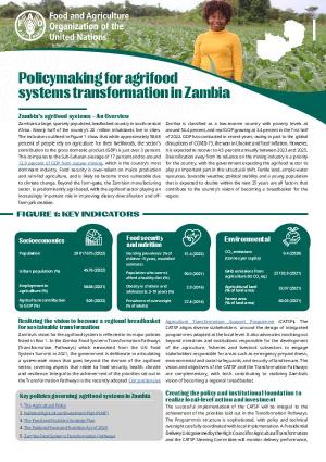 Policymaking for Agrifood Systems Transformation in Zambia