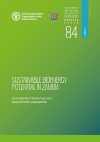 Sustainabale Bioenergy