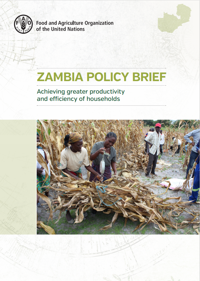 Zambia Policy Brief