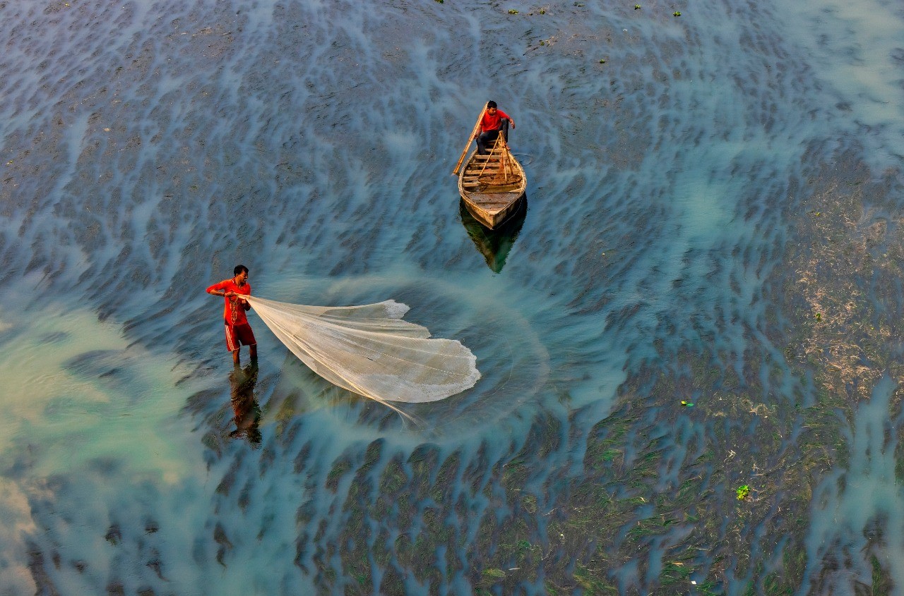 FAO Report: Global fisheries and aquaculture production reaches a new record high