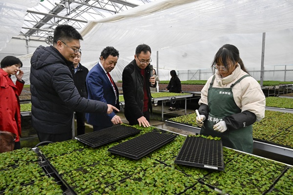 FAO Director General in China 2025