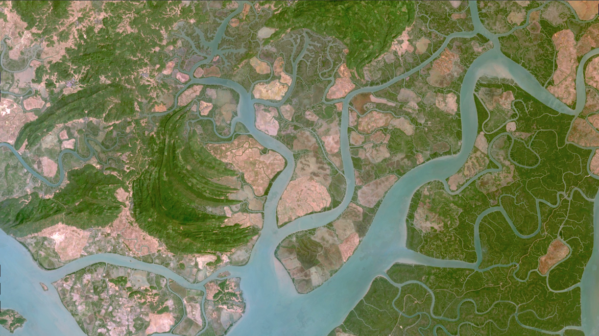 FAO training boosts forest data collection in Southeast Asia