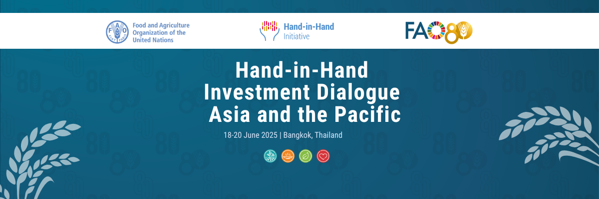 The Hand-in-Hand Investment Dialogue for Asia and the Pacific