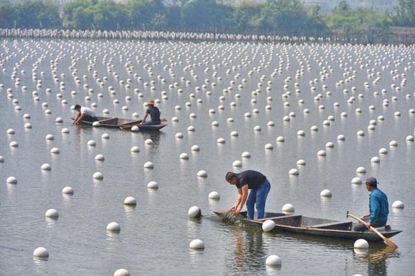 Pearl China